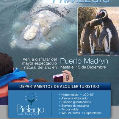 008 Pielago Puerto Madrin Dic2012